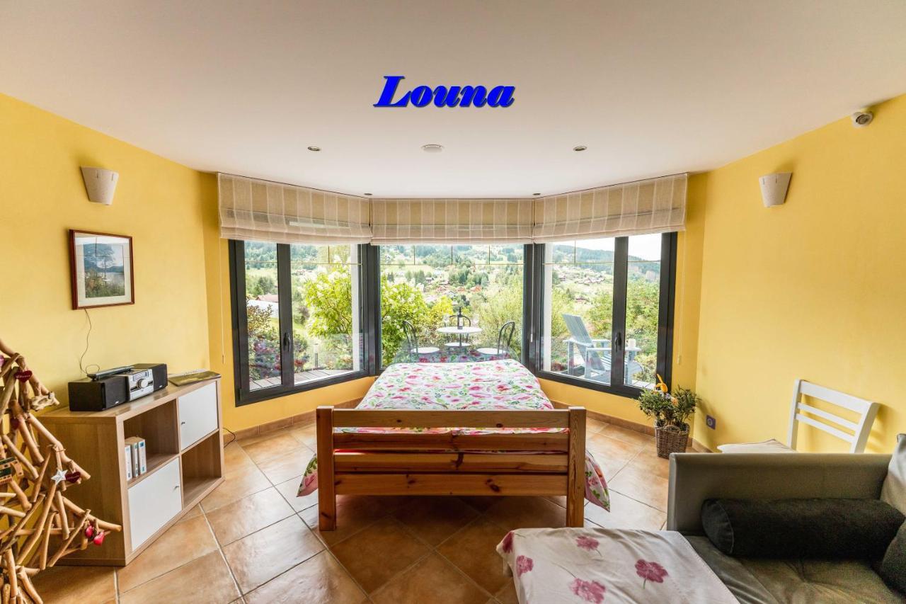 Appartements 5 Personnes Maya Et Louna Xonrupt-Longemer Eksteriør bilde
