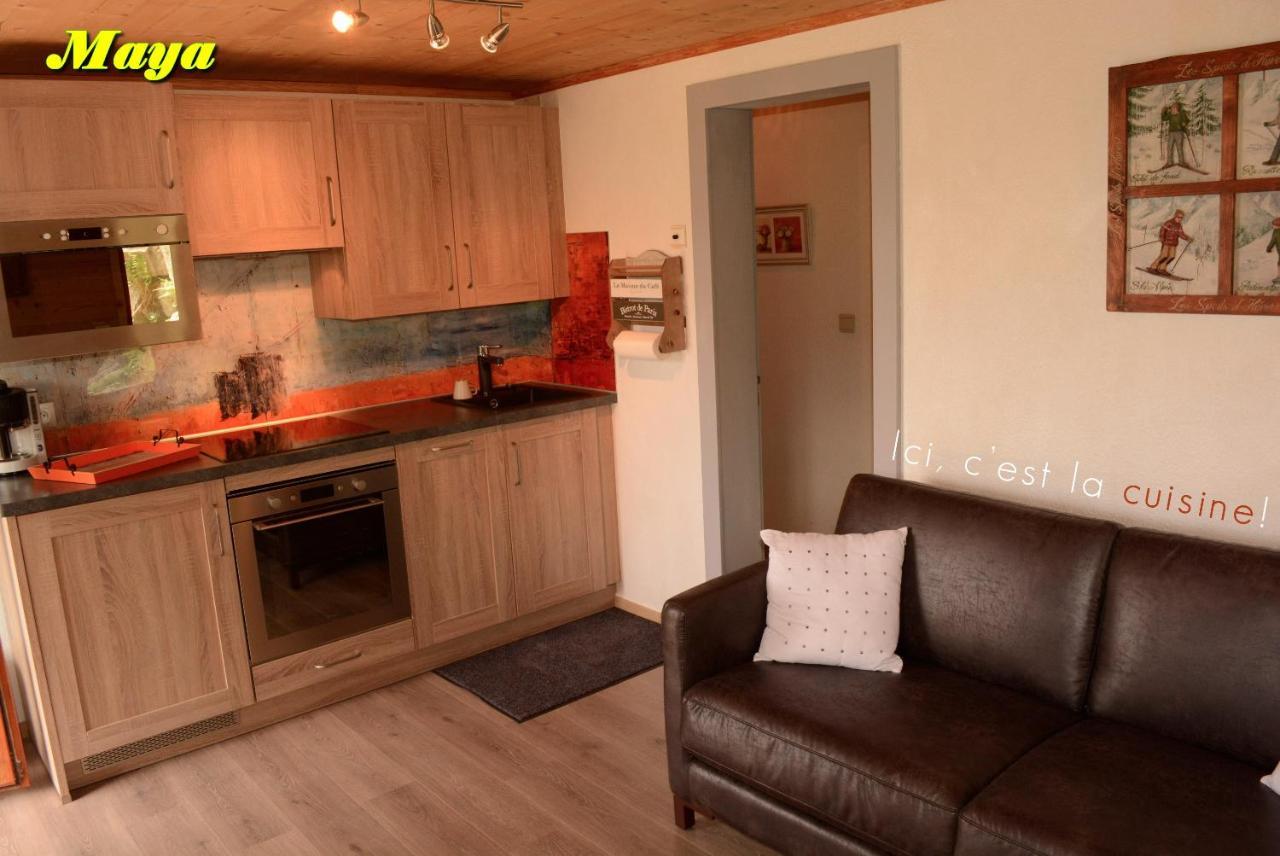 Appartements 5 Personnes Maya Et Louna Xonrupt-Longemer Eksteriør bilde